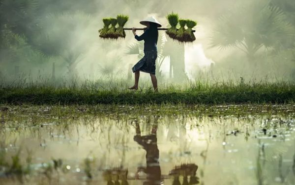 回歸鄉(xiāng)村,方知幸福 【輕鋼別墅】(圖3) 回歸鄉(xiāng)村,方知幸福 【輕鋼別墅】(圖3)