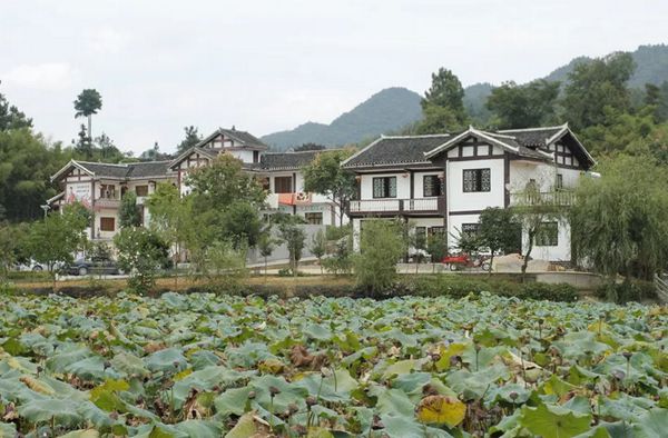 回歸鄉(xiāng)村,方知幸福 【輕鋼別墅】(圖7) 回歸鄉(xiāng)村,方知幸福 【輕鋼別墅】(圖7)