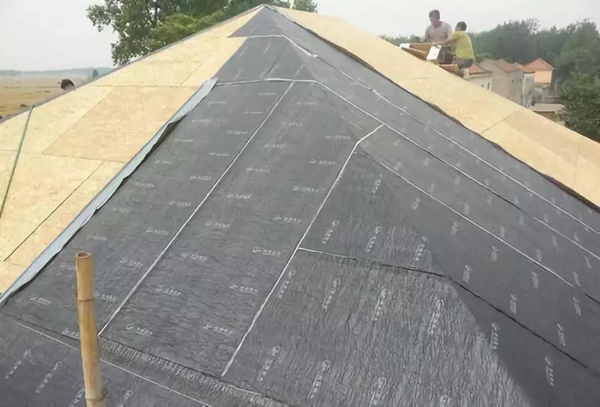 輕鋼別墅神秘在哪？?jī)r(jià)格怎么樣？今天水落石出！(圖2)