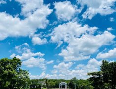 海南：放寬社會資本進入農(nóng)村的限制！中國大農(nóng)場時代來臨？